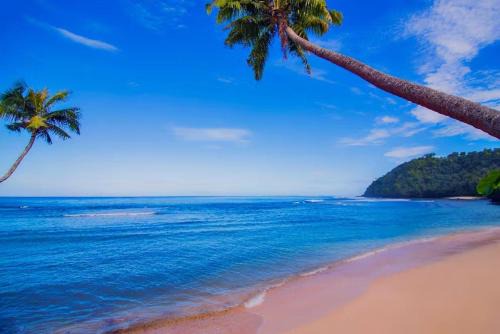 Savaia Resort | Survivor Samoa Beach Resort