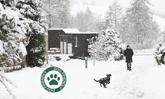 Osterode am Harz House | Sustainable vacation with a dog at the Green Tiny House Nature 1 in Osterode am Harz