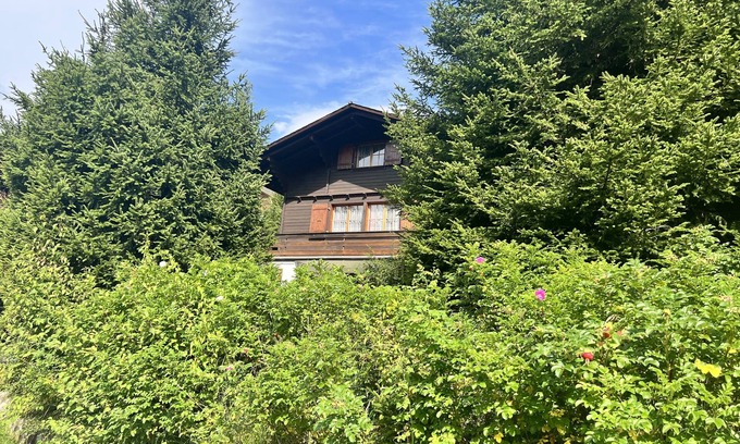 Plaffeien Ski Chalet | Swiss chalet, in a quiet, not overlooked, 10min of the famous Black Lake !