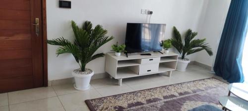 Syokimau Apartment | Syokimau spacious 2br furnished apartment