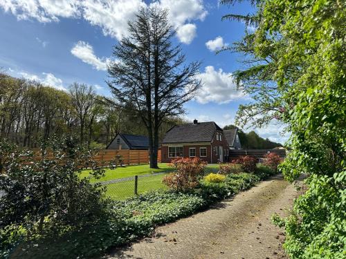 Odoorn House | ‘t Bosrandje