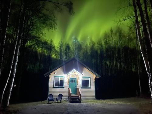 Susitna North Ski Chalet | Talkeetna Mount Dall Cottage with WiFi&laundry