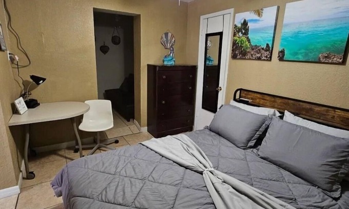Bearss Plaza Apartment | Tampa Highland