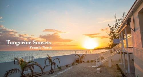 Adelaide House | Tangerine Sunsets Pomelo North