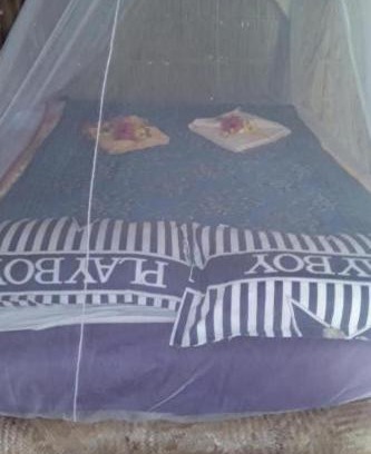 Tanna Island Bed & Breakfast | Tannawildpig