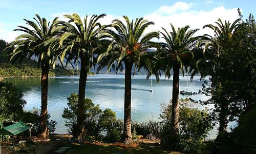 Te Mahia Resort | Te Mahia Bay Resort
