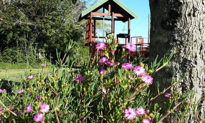 Knysna House | Teniqua Treetops