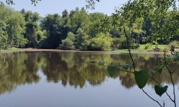 Mamers RV Rental | Tentrr Signature Site - Meadow Escape at CATHIS Farm