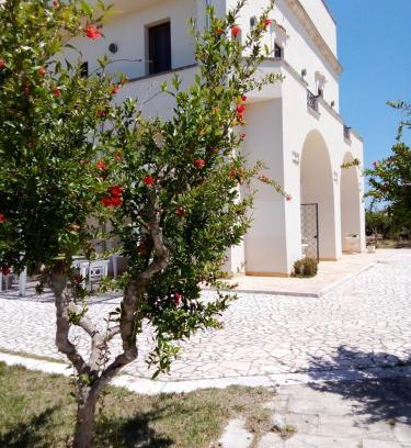Carmiano Bed & Breakfast | Tenuta degli Agrumi