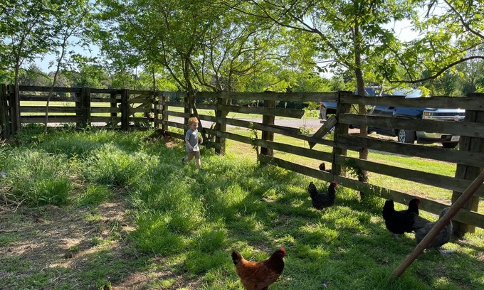 Gordonville RV Rental | Texoma Rv Ranch, 1 mile from Texoma, garden, orchard, concrete pads!