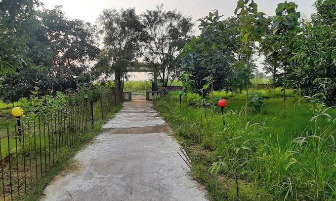 Nepal Resort | Tharu Mango Garden Resort