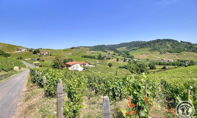 Fleurie House | The 3 Aufranc vineyard gîtes