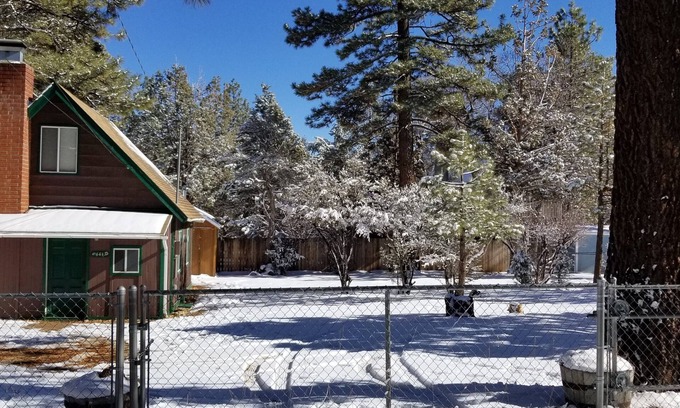 Sugarloaf Cabin | The Bear Escape - Private Cabin among Tall Trees