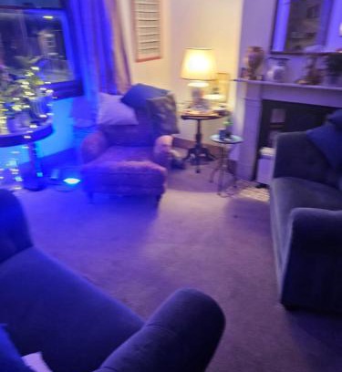 Hoe Street House | The blue international inn