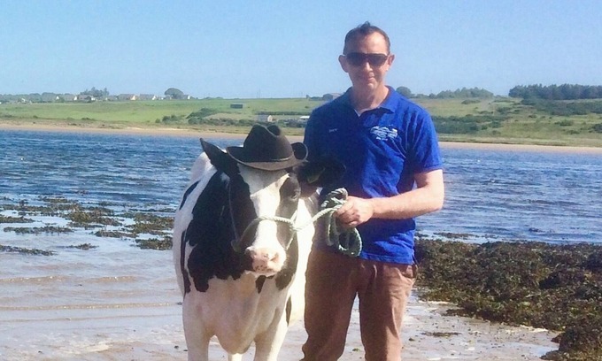 Ballyshannon House | The Cuddly Cow Cosy Barn Studio Campview Farm Stay