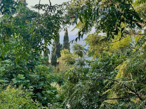 Kyrenia District House | The Cyprus House