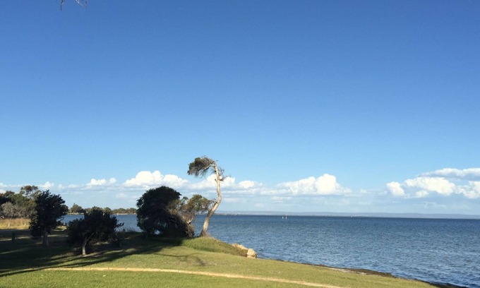 Falcon House | The Edge Estuary house
