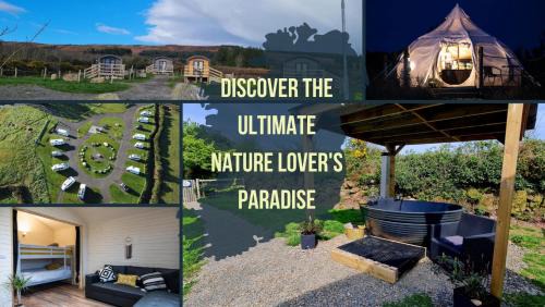 Dungarvan House | The Getaway - The Red Kite - Pet Friendly Luxury Glamping Cabin