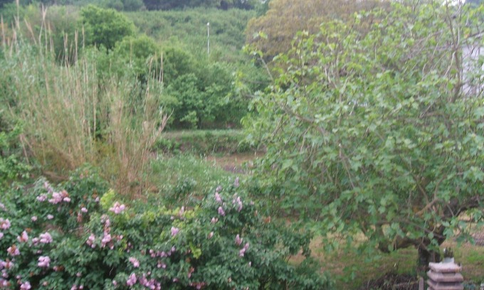 Villanova Monteleone Bed & Breakfast | THE HOUSE OF ROSES INDEPENDENT ROOMS WITH PRIVATE BATHROOM