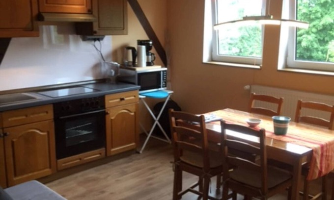 Schwerin Apartment | The house on the lake, idyllic location, with a Beach, swimming area, kitchen