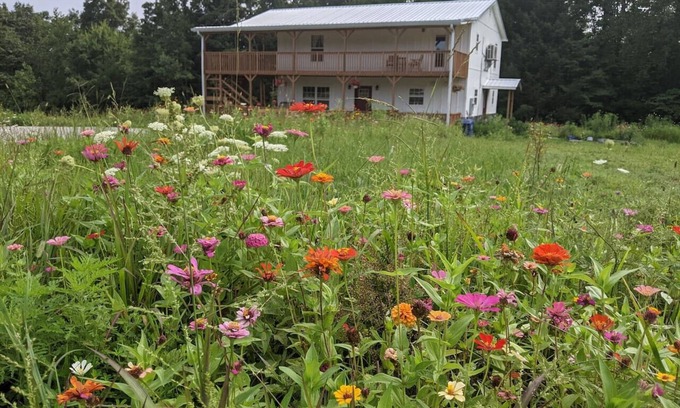 Whitley City Bed & Breakfast | The Inn at Beulah Farm - The Garden