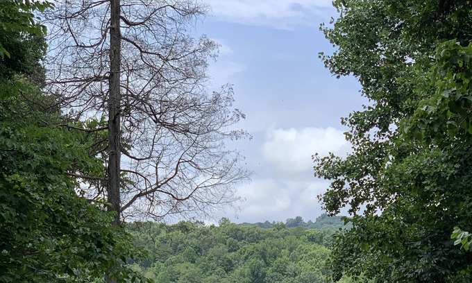 Rock Harbor Cottage | The Little Dipper---- Cottage on Norris Lake-- boat slip and dock