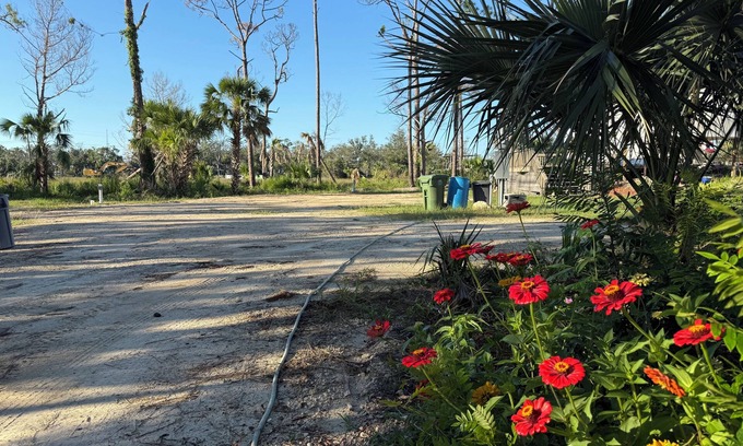 Steinhatchee RV Rental | The Marsh site at Privacy RV campgrounds of Steinhatchee- Awesome, private!