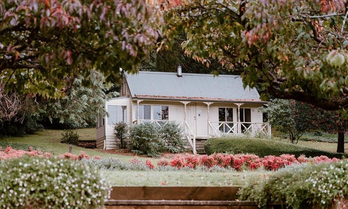 The Patch Cabin | The Mountain View Cottage