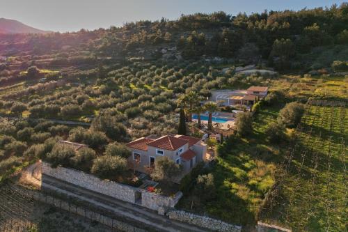 Archanes House | The Olive Grove Villas with large swimming pool