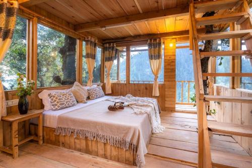 Khoksar House | The Picturesque Treehouse