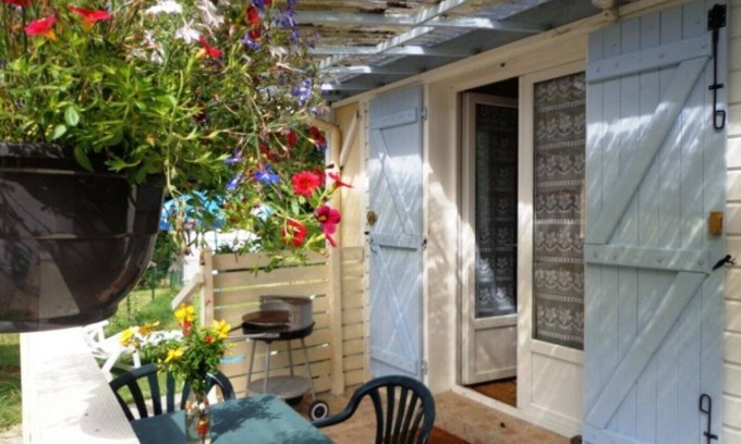 Cassen House | - The plane trees -