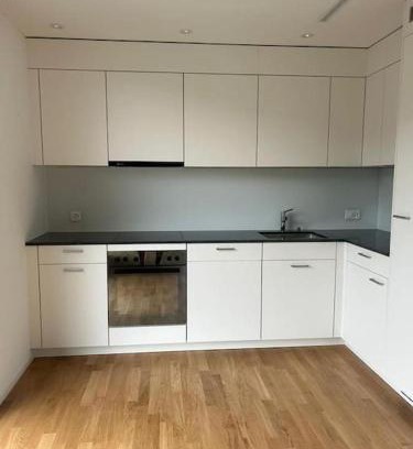 Balsthal Apartment | The R Apartment Vogelberg, Gym, Balkon, Parking