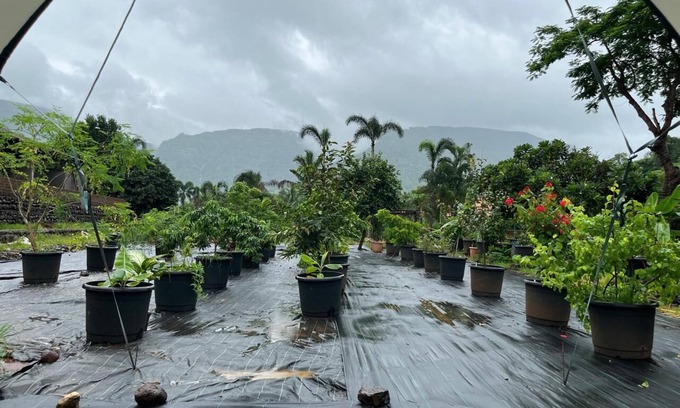Amarnath Hotel | The Riverstone Agro Farm