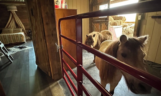 Heltonville House | The Stable- at Donkeytown, barndominium on a 40 acre guest ranch