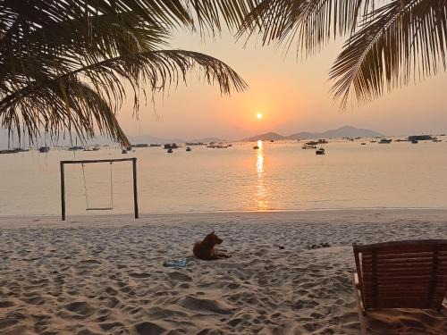 Cam Ranh Hotel | The Sunrise Anh Tu