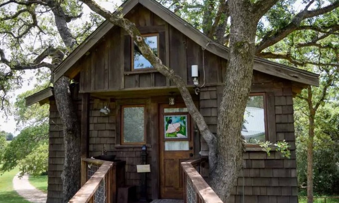 Jeddo Cabin | The Treehouse