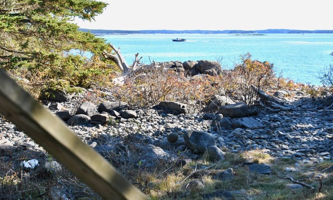South Addison Cabin | THE VERY BEST OCEANFRONT GLAMPING RETREAT IN DOWNEAST MAINE!⚓ 🌊 🐕