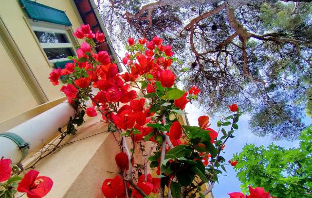 Castiglioncello Villa | The White House on the sea