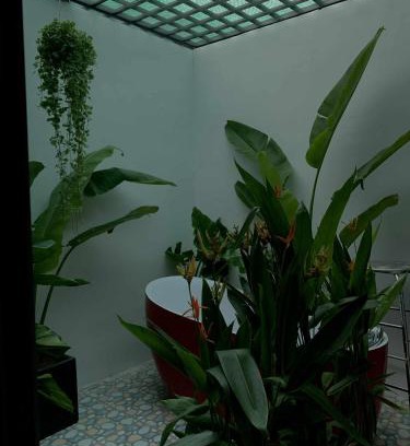 Long Xuyen Apartment | Thiên Nhiên Hotel
