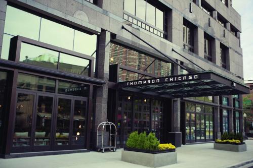 Near North Side Hotel | Thompson Chicago, by Hyatt