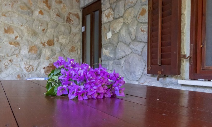 Cove Murtar Apartment | Three bedroom apartment with terrace Mali Lošinj, Lošinj (A-20594-a)