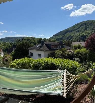 Neckarsteinach Apartment | Three-castle-view in a new appartment
