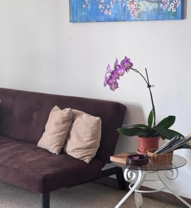 Mata Redonda Apartment | Tico Experience in a Family-Friendly Neighborhood