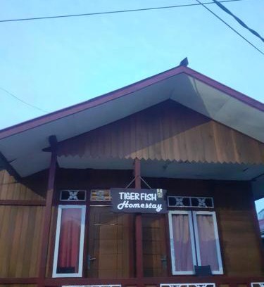 Bunaken House | Tiger fish homestay