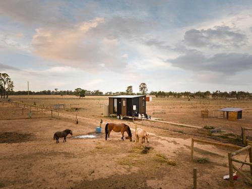 Carag Carag House | Tiny Rescue Retreat by Tiny Away