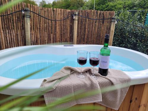 Raar House | Tinyhouse 2 pers met hottub