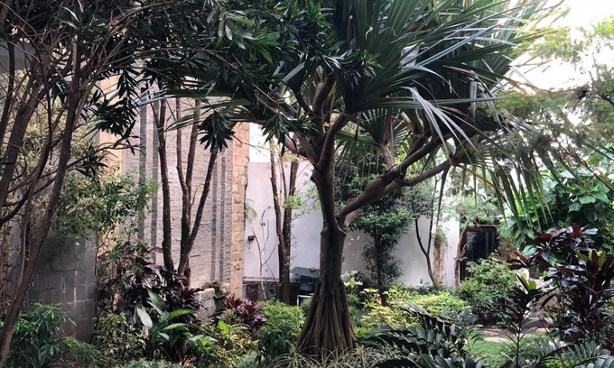 Dinoyo House | Tlogomas Guest House