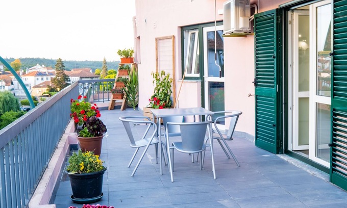 Santa Comba Dao Apartment | Top floor apartment with incredible outdoor space