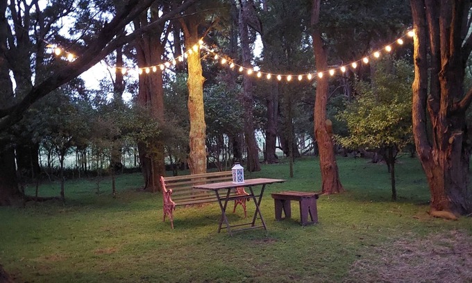 Cheltenham Cabin | Totara Croft - a stargazers dream