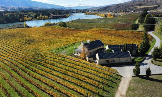 Lowburn House | Towan House at Carrick Winery